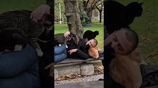 True love can heal everything #animals #shorts #love #cute