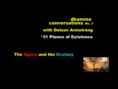 Interview#3: 31 Planes of Existence - the Agony and the Ecstasy -Conversations with Delson