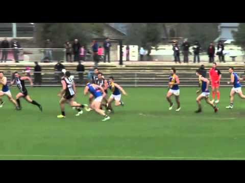 VFL: Tim Broomhead highlights