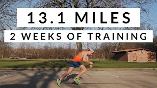 Running a HALF MARATHON with Two Weeks of Training (Seth James DeMoor Virtual Race)