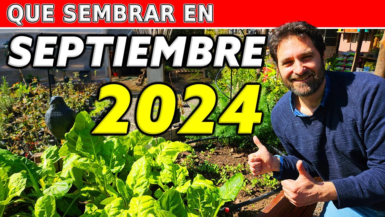 Calendario de Siembra 2024: Que sembrar en SEPTIEMBRE en el Huerto de Verano y de Invierno