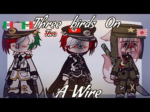 Three Birds On A Wire || Countryhumans|| Axis powers