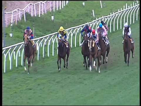 Galoppo 27/02/2016 - 5° corsa