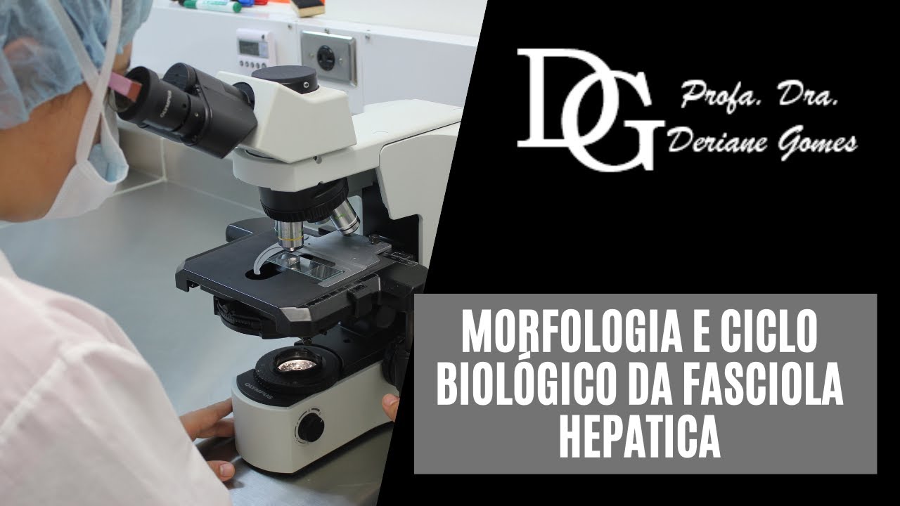 078.  Morfologia e Ciclo Biológico da Fasciola Hepatica