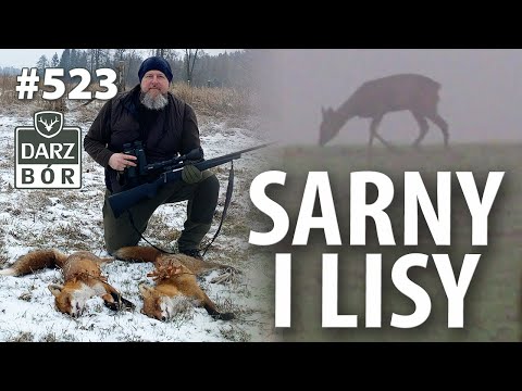 Darz Bór odc. 523 Sarny i Lisy