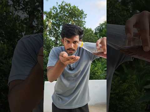 തേൻ Experiment 😂 | #trending #viral #malayalam #shorts #iamnoel #tiktok #reaction