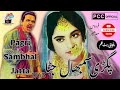 Pagri Sambhal Jatta 1968 Full Movie پگڑی سمبھال جٹا Sambhal Jatta 1968 The REAL Story U
