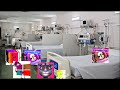 Gummy Bear Gets Voice Surgery And Lynn Grantz Gets Grounded