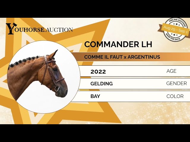 Commander homevideo outdoor