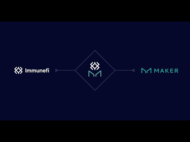 Immunefi product / service
