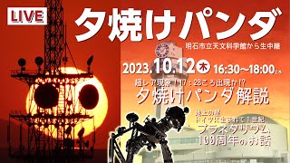 夕焼けパンダ生中継