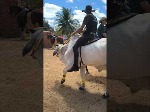 Cavalgada em Mucambo Ceará