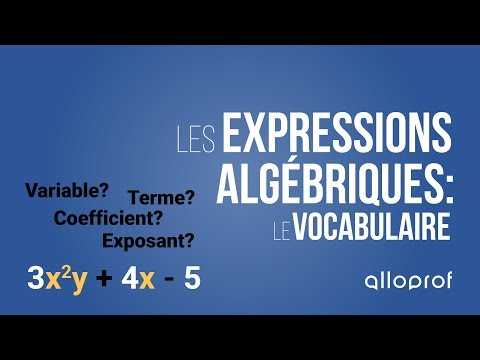 Les expressions algébriques : le vocabulaire | Mathématiques | Alloprof