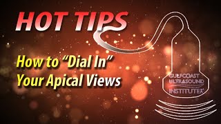 How To Dial In Your Apical Views