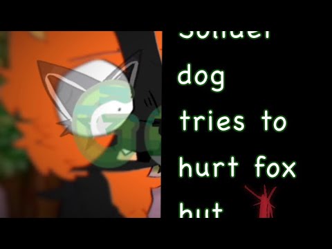 The dog tried to hurt the fox, but I scratched it ||  #budsforbuddies