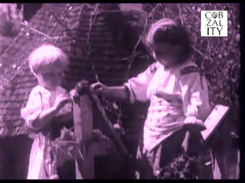 Cobzality - Pamentu caval