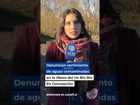 Denuncian vertimiento de aguas contaminadas en la ribera del río Bío Bío en Concepción