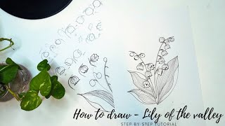 How to draw flowers. How to draw a lily of the valley flower perspectives. May birth month flower.
