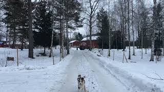 Trattore gommato Volvo BM 810 Turbo in vendita - Immagine 4 | Agroline IT Trattore gommato Volvo BM 810 Turbo | Immagine 4 - Agroline