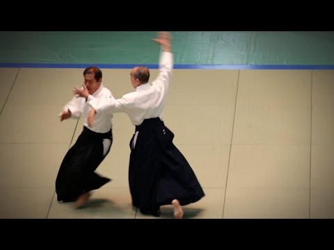 Aikikai Aikido - Shimamoto Katsuyuki Shihan - 54th All Japan Aikido Demonstration (2016)