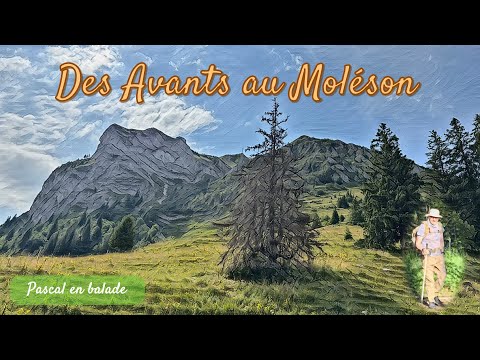 Randonnée depuis les Avants direction Moléson