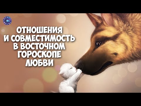 Отношения и совместимость в восточном гороскопе любви
