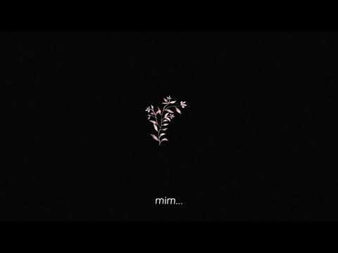 triz nowa - o que os ventos trazem