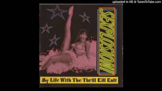 My Life With The Thrill Kill Kult - The International Sin Set
