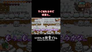 【過酷】何往復しただろう…気が遠くなる『かまくら作り』│にほんの田舎ぐらし