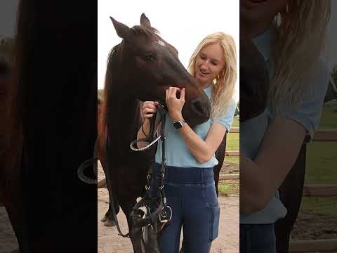 Dit doet mijn paard als ik zijn HOOFDSTEL om doe... 😂🐴