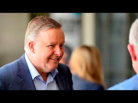 Eagles classic turned into hit 'Albanese' song