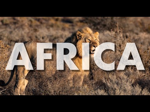 ROYALTY FREE African Positive Inspiring Tribal Instrumental Background Music For Videos