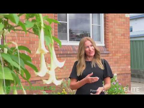 Norma Dominguez Presents | 267 Woniora Road, Blakehurst