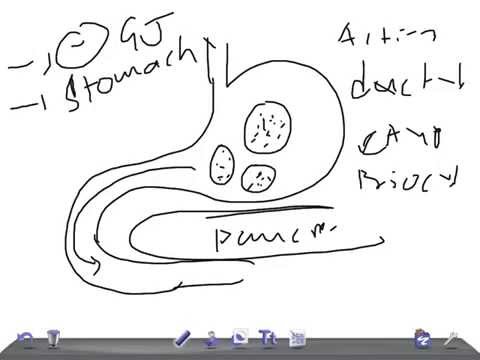 Medical Video Lecture, PHYSIOLOGY: SECRETIN