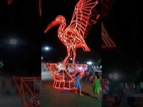 01/01/2026 na cidade de Porto rico do Maranhão.