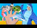 Sea Animals Finger Family Songs For Kids