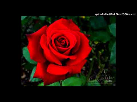 TEU FAKATAPU MOE HAOFANGA - TEINE LATU