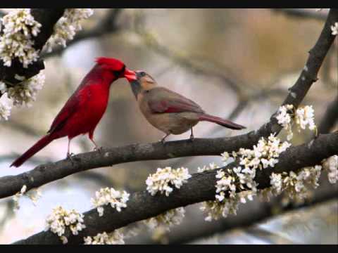 download lagu mp3 mp4 Huey Lewis And The News The Heart Of Rock Roll 1991 mk, download mp3 Huey Lewis And The News The Heart Of Rock Roll 1991 mk free download, download mp3 Huey Lewis And The News The Heart Of Rock Roll 1991 mk