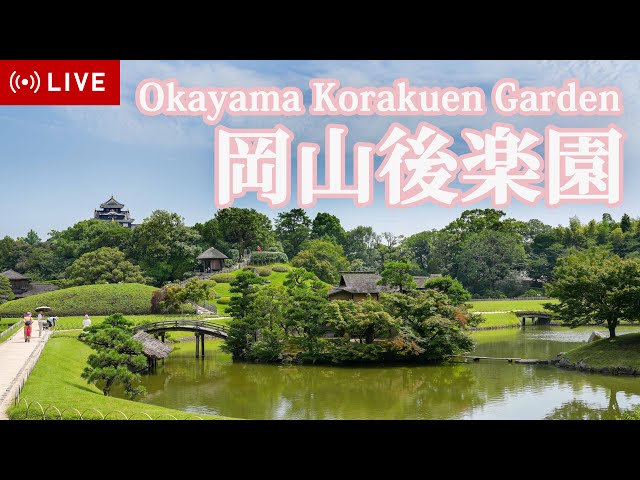 11/17から「秋の幻想庭園」【LIVE】岡山後楽園ライブカメラ Okayama Korakuen Garden