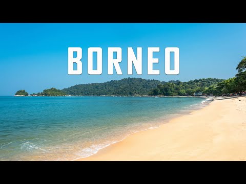 Borneo Malaysia: 8 Best Things To Do In Borneo Malaysia