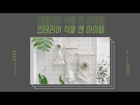 , title : '알아두면 좋은 인테리어 식물 앤 아이템 베스트 3(feat.베스트3인데그것보다많다는건안비밀)'