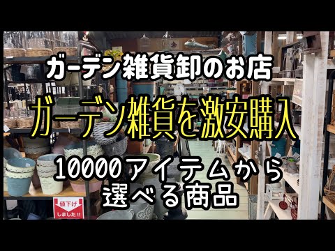 園芸 ノアの庭園