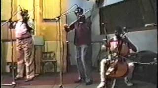 El Jardinero Del Amor Lyrics English Translation