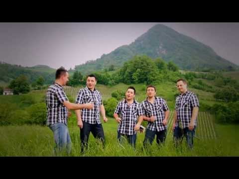 ANSAMBEL APLAVZ - V SRCU NOSIM DOMOVINO