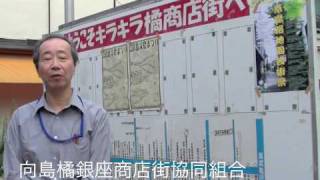 キラキラ橘商店街