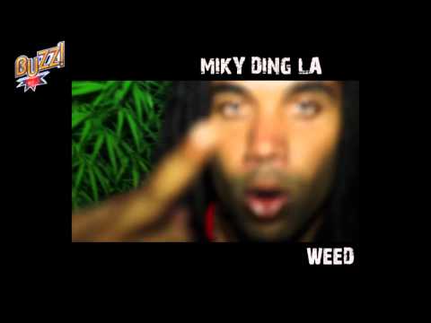 COLONEL REYEL,Young chang,JO Wayne,Mantiyut & Silko,Saik,Miky, Swé,Datcha,Aloman,kellingston