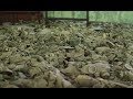 Atomic Energy and the Arrogance of Man: Revisiting the Chernobyl Nuclear Disaster - Serhii Plokhii