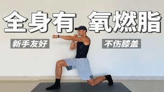 12分钟全身有氧燃脂训练｜新手友好、不伤膝盖