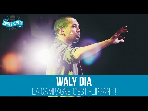 Waly Dia - La Campagne c'est Flippant (Calendrier de l'Avent du LOL)