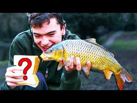 Is this the BEST BAIT for carp fishing?